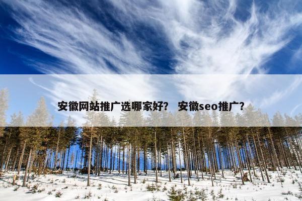 安徽网站推广选哪家好？ 安徽seo推广？