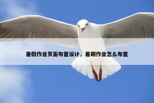 暑假作业页面布置设计，暑期作业怎么布置