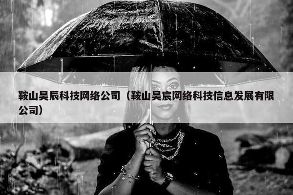 鞍山昊辰科技网络公司（鞍山昊宸网络科技信息发展有限公司）