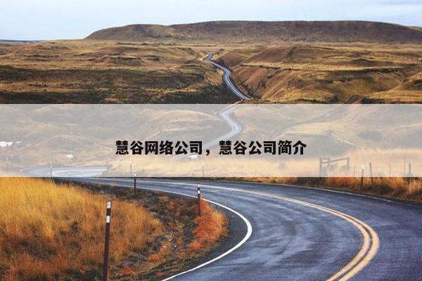 慧谷网络公司，慧谷公司简介