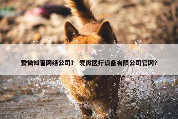 爱微知著网络公司？ 爱微医疗设备有限公司官网？