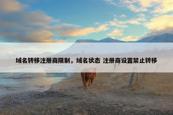 域名转移注册商限制，域名状态 注册商设置禁止转移