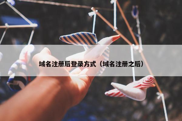域名注册后登录方式（域名注册之后）