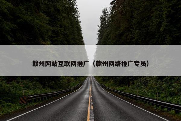 赣州网站互联网推广（赣州网络推广专员）