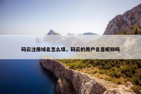 码云注册域名怎么填，码云的用户名是昵称吗