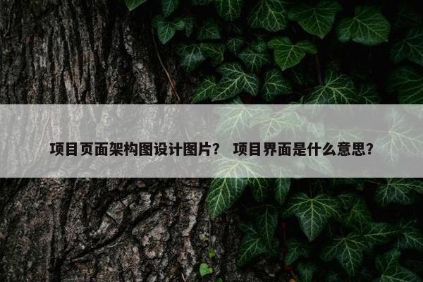 项目页面架构图设计图片？ 项目界面是什么意思？