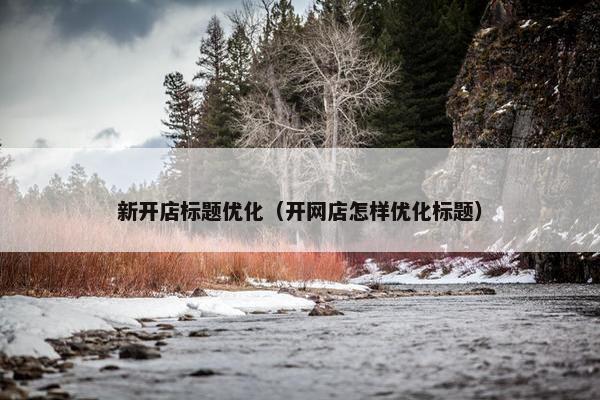新开店标题优化（开网店怎样优化标题）