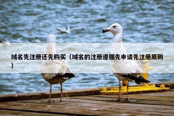 域名先注册还先购买（域名的注册遵循先申请先注册原则）