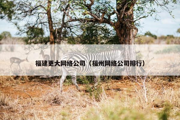 福建更大网络公司（福州网络公司排行）