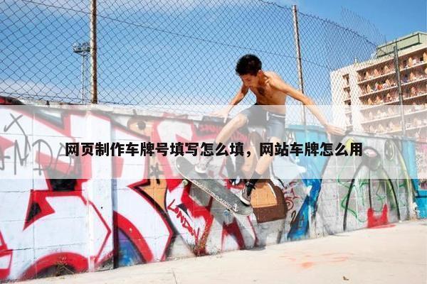 网页制作车牌号填写怎么填，网站车牌怎么用