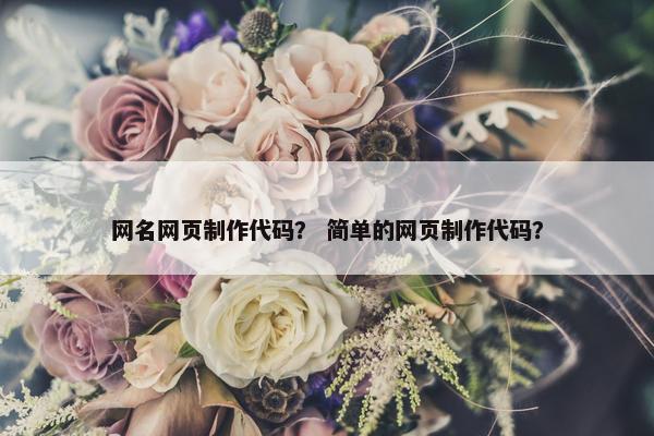 网名网页制作代码？ 简单的网页制作代码？