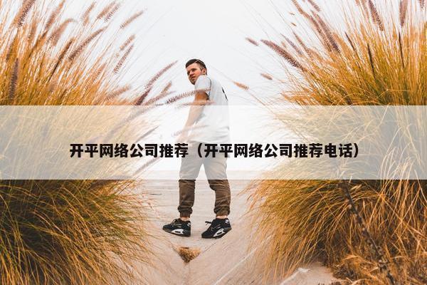 开平网络公司推荐（开平网络公司推荐电话）