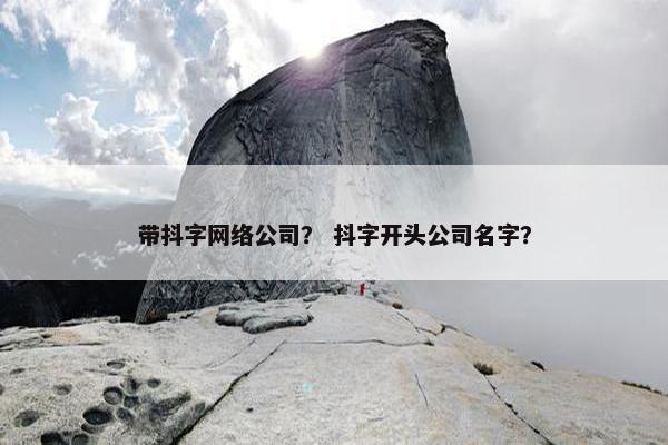 带抖字网络公司？ 抖字开头公司名字？