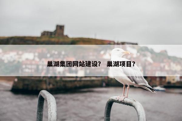 巢湖集团网站建设？ 巢湖项目？