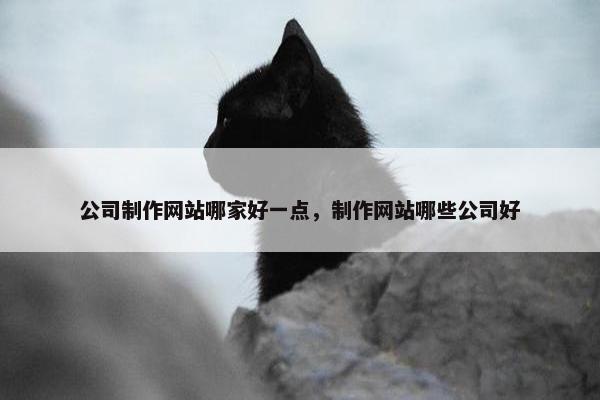 公司制作网站哪家好一点，制作网站哪些公司好