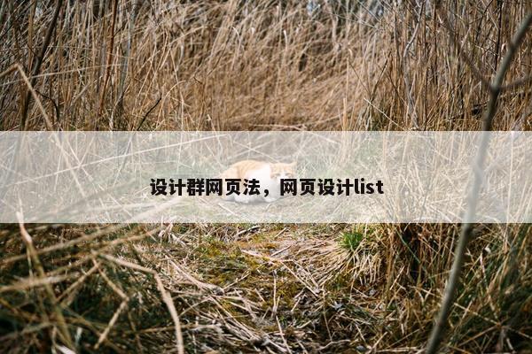 设计群网页法，网页设计list