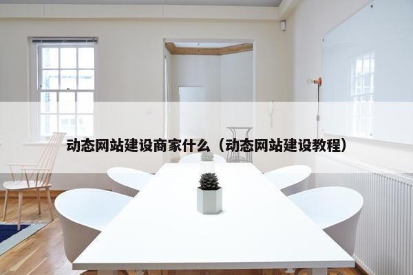 动态网站建设商家什么（动态网站建设教程）