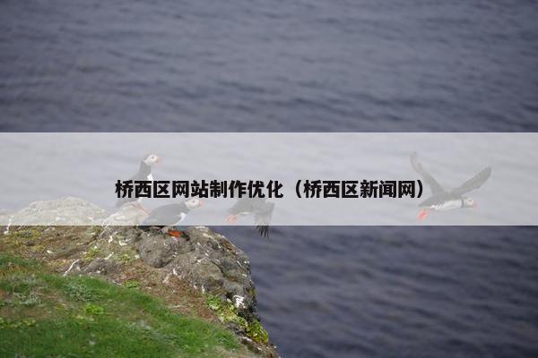 桥西区网站制作优化（桥西区新闻网）