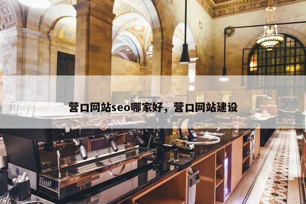营口网站seo哪家好，营口网站建设