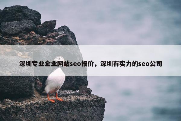 深圳专业企业网站seo报价，深圳有实力的seo公司