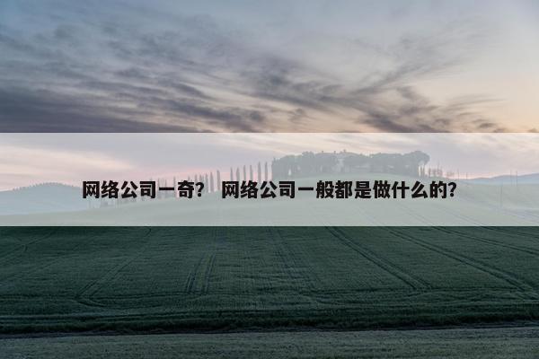 网络公司一奇？ 网络公司一般都是做什么的？
