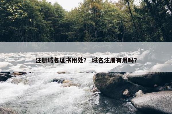 注册域名证书用处？ 域名注册有用吗？