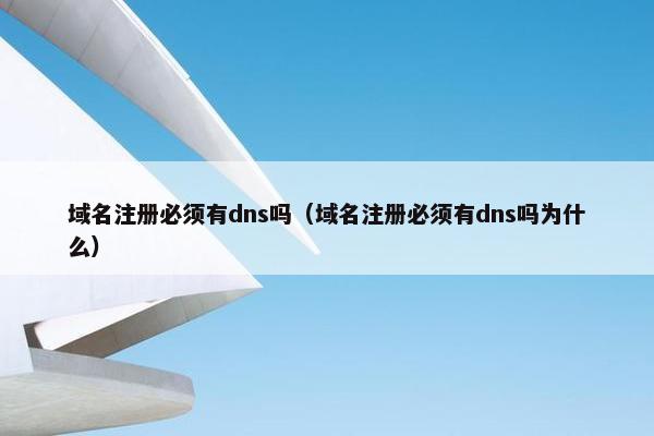 域名注册必须有dns吗（域名注册必须有dns吗为什么）