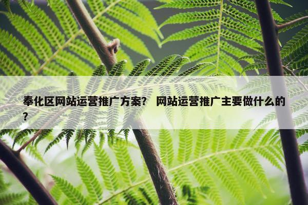 奉化区网站运营推广方案？ 网站运营推广主要做什么的？