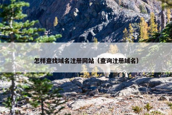 怎样查找域名注册网站（查询注册域名）