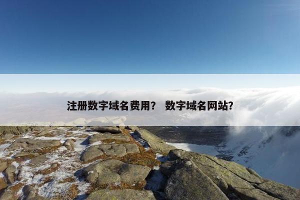 注册数字域名费用？ 数字域名网站？