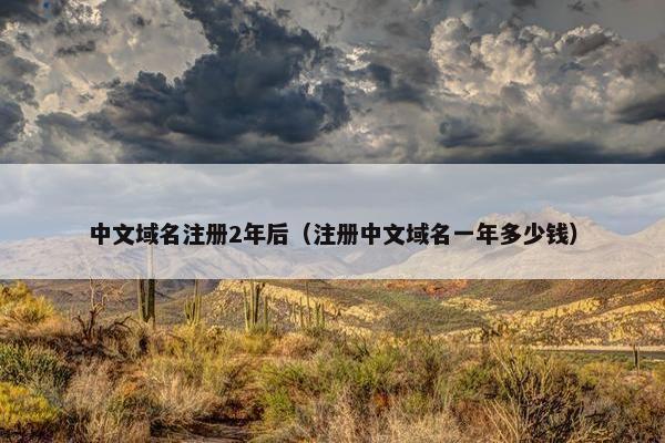 中文域名注册2年后（注册中文域名一年多少钱）