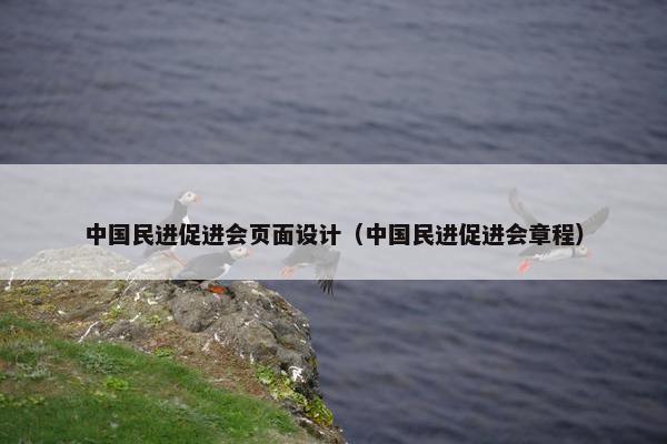 中国民进促进会页面设计（中国民进促进会章程）