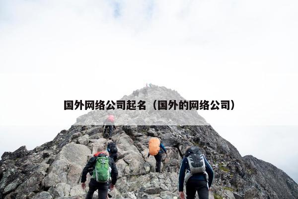 国外网络公司起名（国外的网络公司）