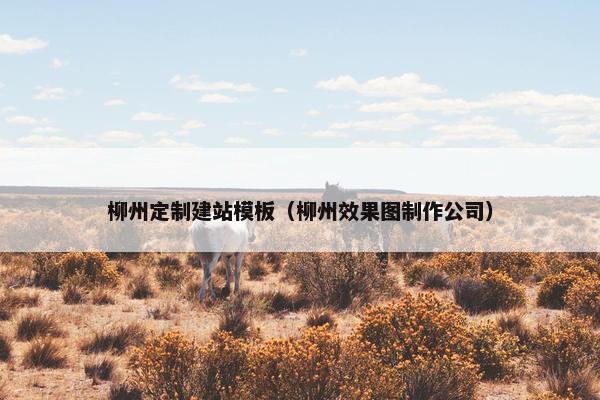 柳州定制建站模板（柳州效果图制作公司）
