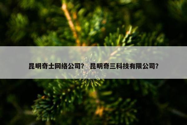 昆明奇士网络公司？ 昆明奇三科技有限公司？