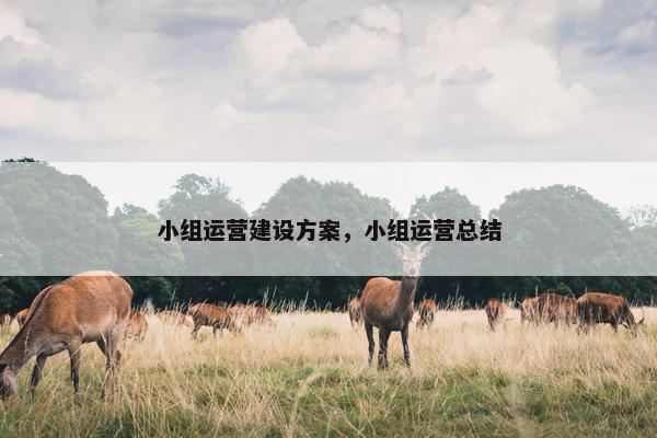 小组运营建设方案，小组运营总结