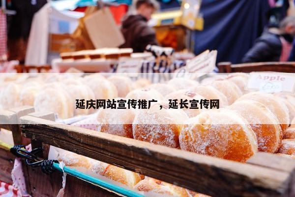 延庆网站宣传推广，延长宣传网