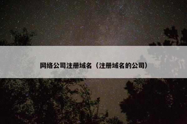 网络公司注册域名（注册域名的公司）