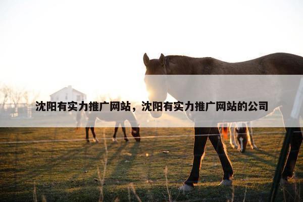 沈阳有实力推广网站，沈阳有实力推广网站的公司