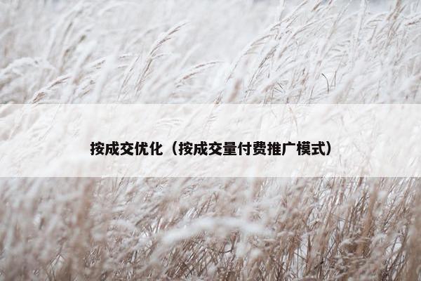 按成交优化（按成交量付费推广模式）