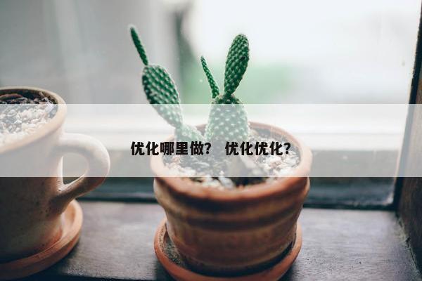 优化哪里做？ 优化优化？