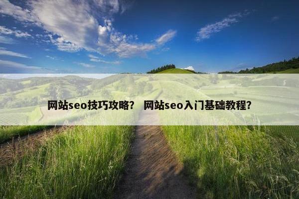 网站seo技巧攻略？ 网站seo入门基础教程？