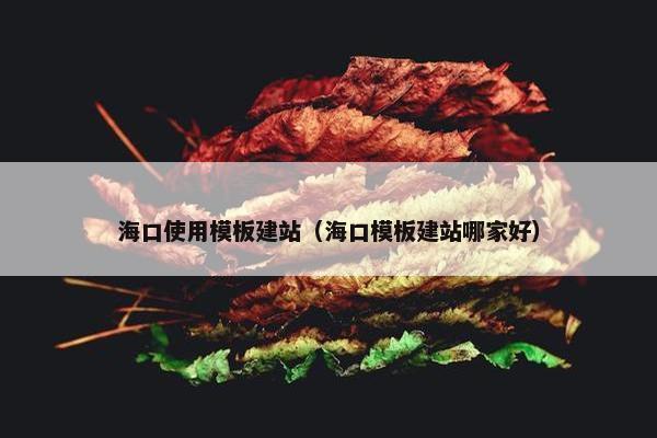 海口使用模板建站（海口模板建站哪家好）