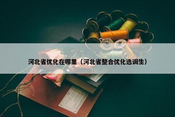 河北省优化在哪里（河北省整合优化选调生）
