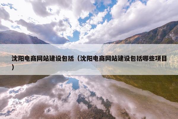 沈阳电商网站建设包括（沈阳电商网站建设包括哪些项目）