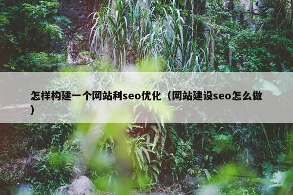 怎样构建一个网站利seo优化（网站建设seo怎么做）