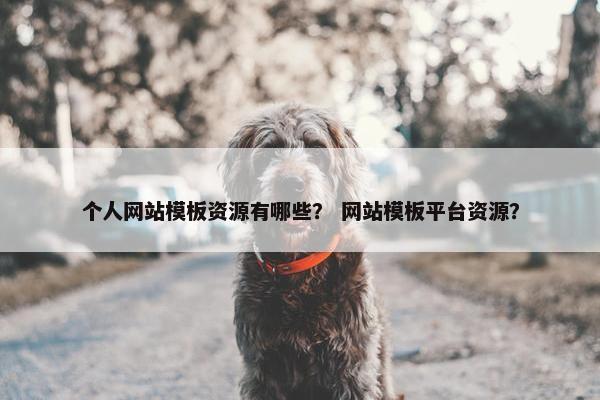 个人网站模板资源有哪些？ 网站模板平台资源？