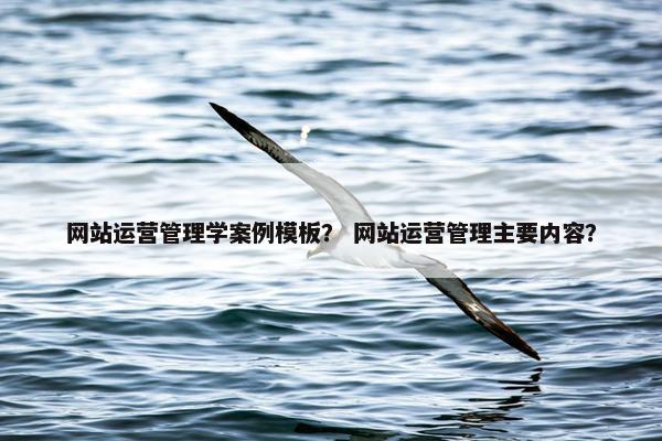 网站运营管理学案例模板？ 网站运营管理主要内容？