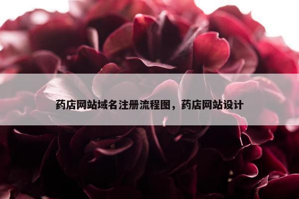 药店网站域名注册流程图，药店网站设计