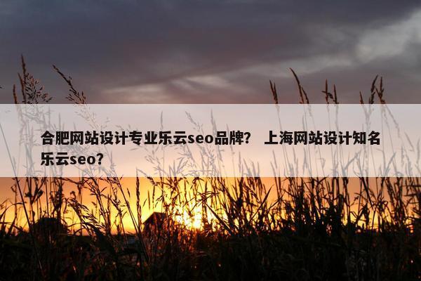 合肥网站设计专业乐云seo品牌？ 上海网站设计知名乐云seo？